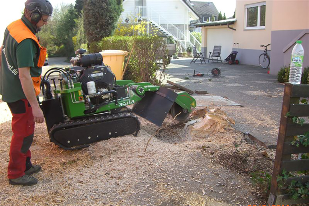 Bild 7