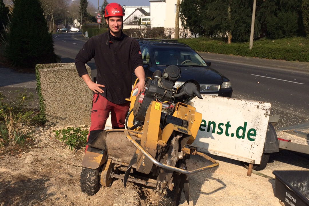 Bild 3