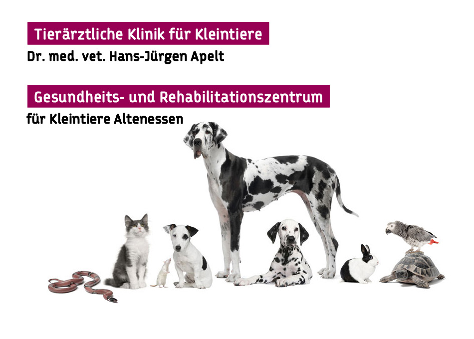 Bild 0