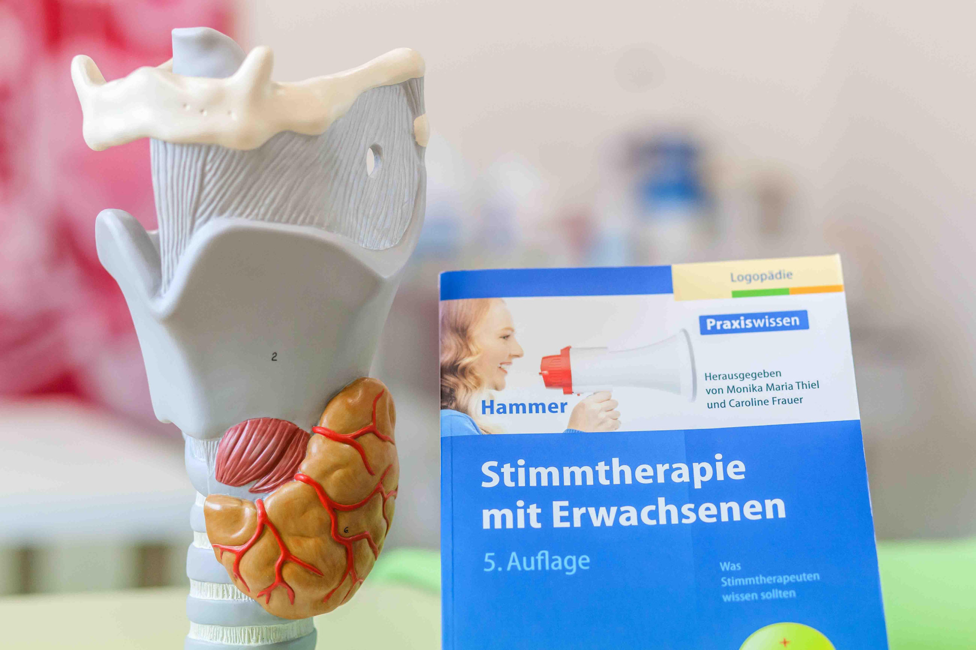 Bild 17