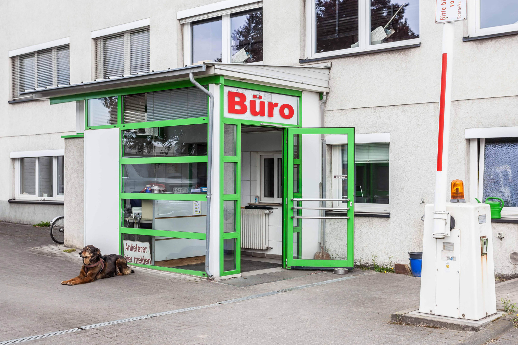 Bild 4